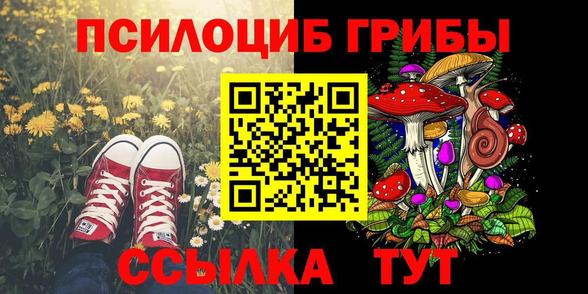 Волгодонск  Галлюциногенные грибы GOLDEN TEACHER  Вход с VPN 